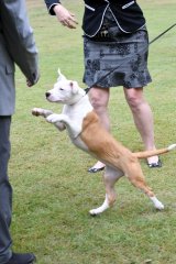 09.08.24 ASTCQ | Kali showing her athleticism
